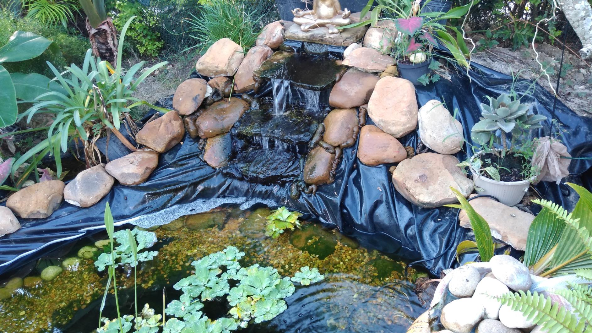 OASE Vitronic 36 UV Clarifier for Pond customer photo 1