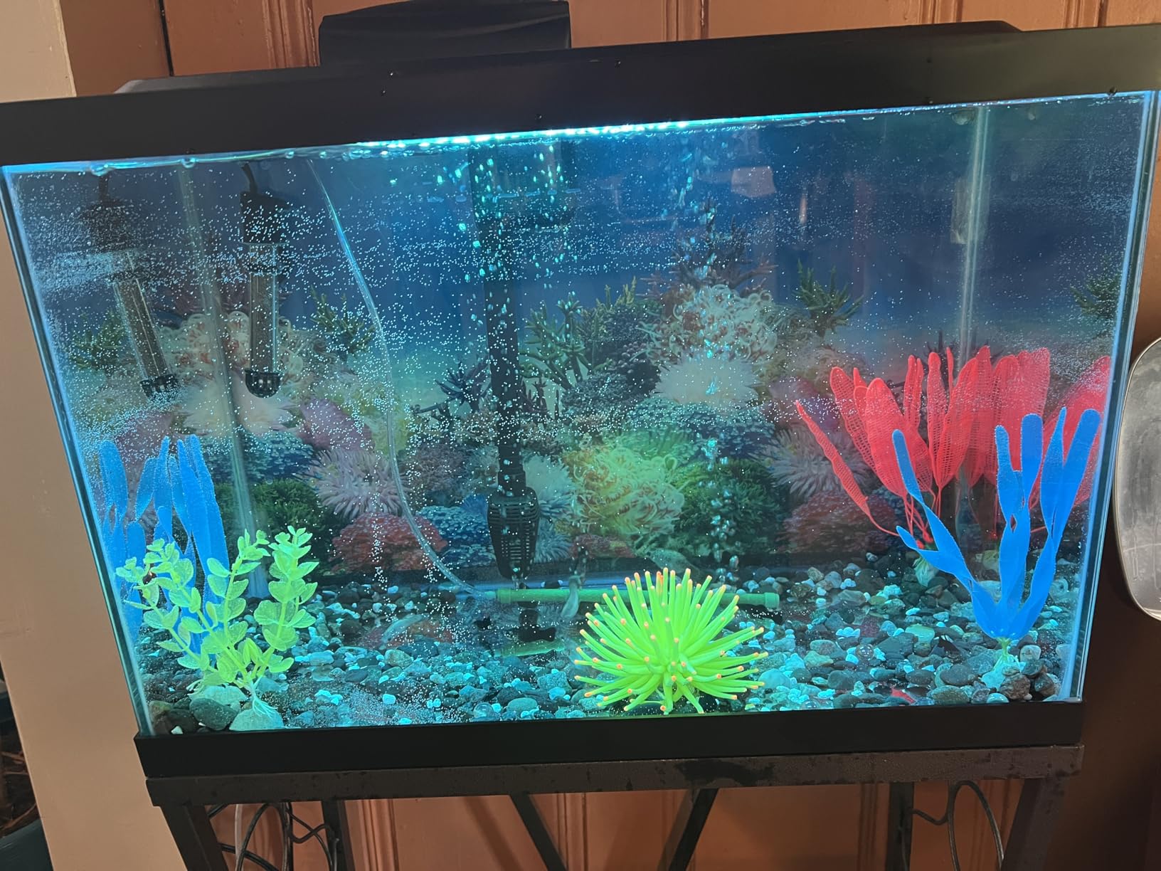 Tetra ColorFusion Aquarium 20 Gallon Fish Tank Kit, Includes LED Lighting and Decor customer photo 1