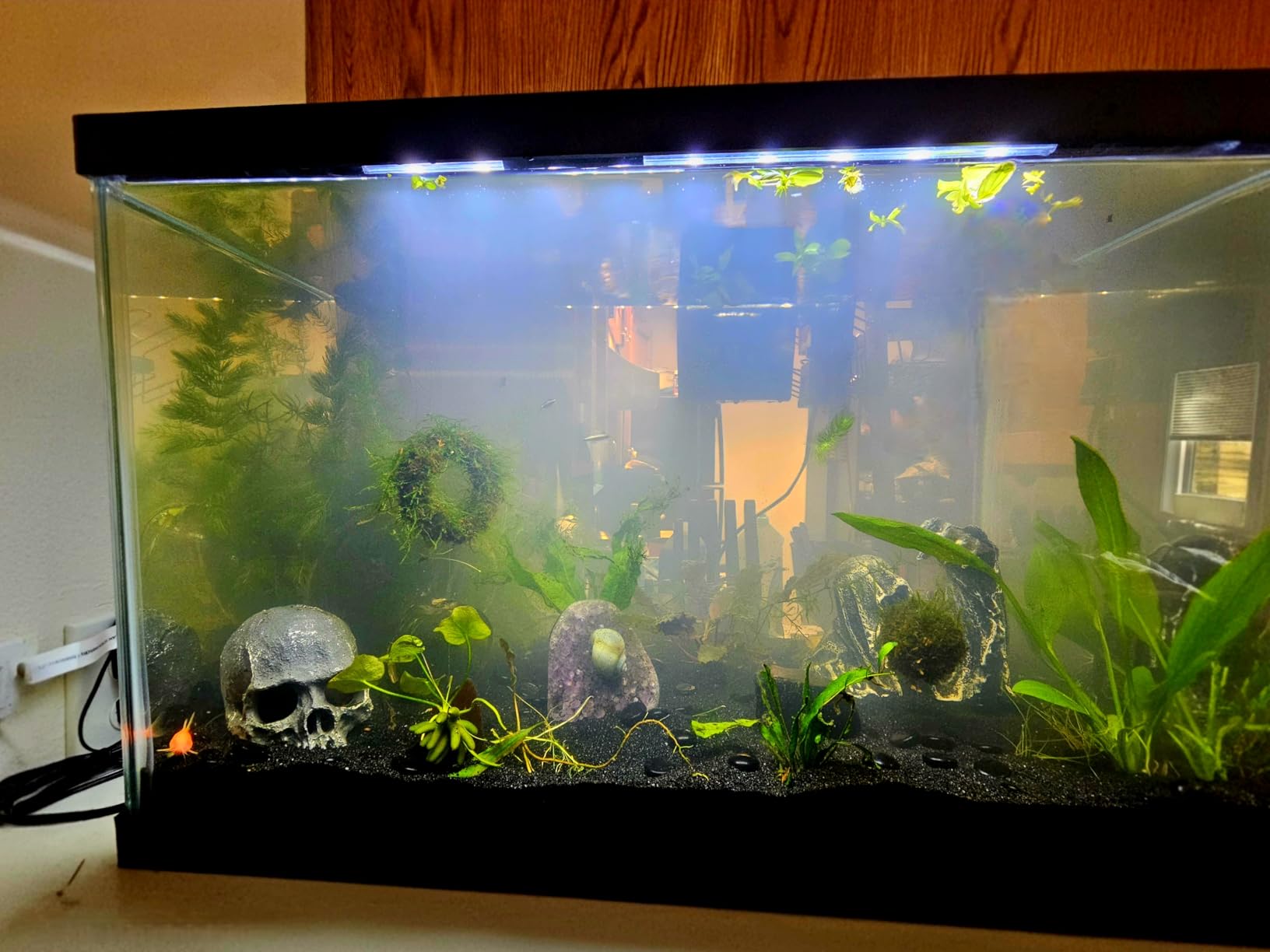 Tetra ColorFusion Aquarium 20 Gallon Fish Tank Kit, Includes LED Lighting and Decor customer photo 2