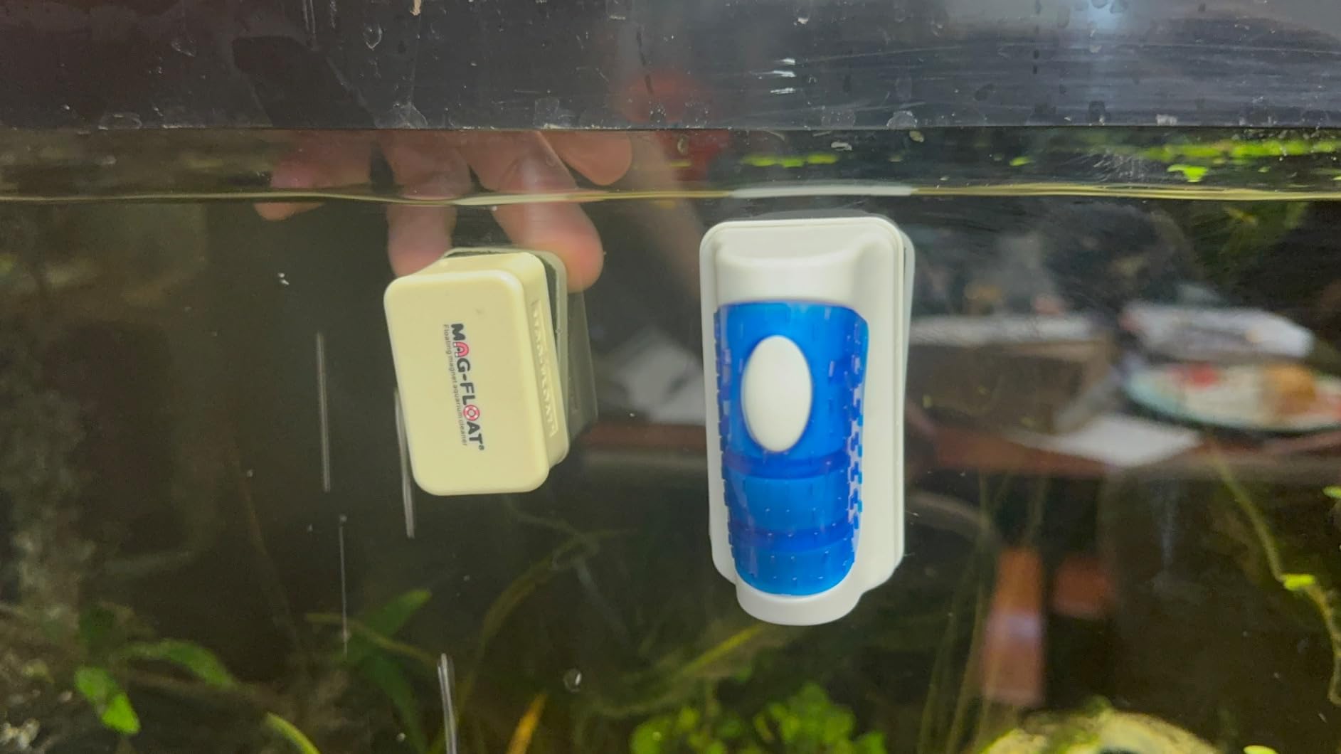 Jasonwell Magnetic Aquarium Fish Tank Glass Algae Glass Cleaner Scrubber Floating Clean Brush(S) customer photo 1