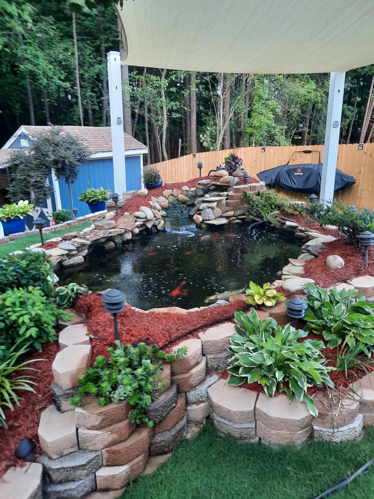 PondWorx Pond Bacteria - Formulated for Large Ponds, Water Features and Safe for Koi - Gallon customer photo 1
