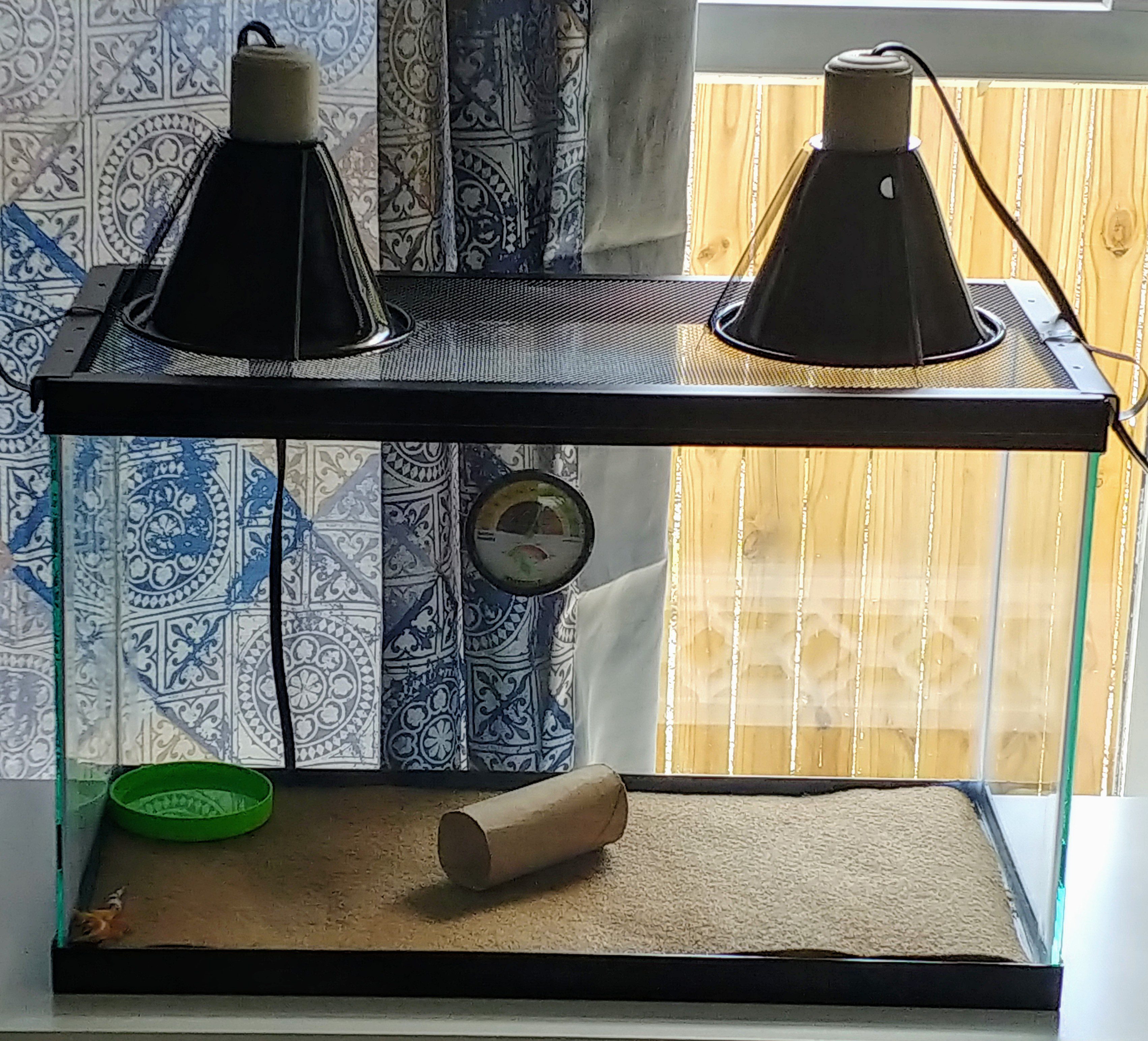 Zilla 10 Gallon Pet Reptile Starter Habitat Kit with Light and Heat for Small Desert Dwelling Animals customer photo 1