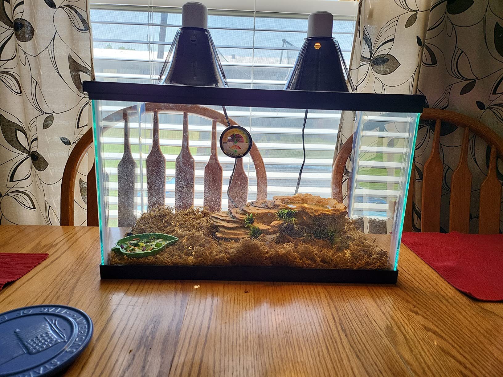 Zilla 10 Gallon Pet Reptile Starter Habitat Kit with Light and Heat for Small Desert Dwelling Animals customer photo 2