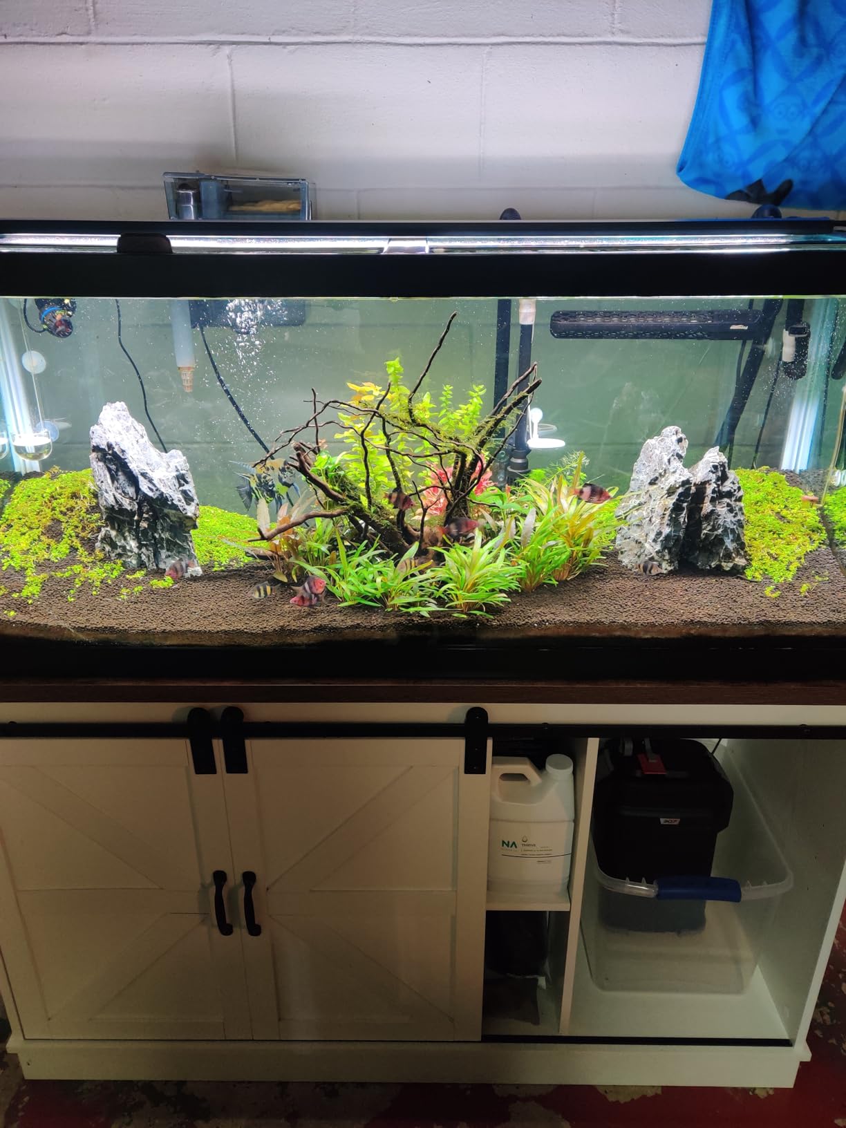 Music Glass CO2 Diffuser for Aquarium Plant (2'' for Tank Beyond 75 gallons) customer photo 1