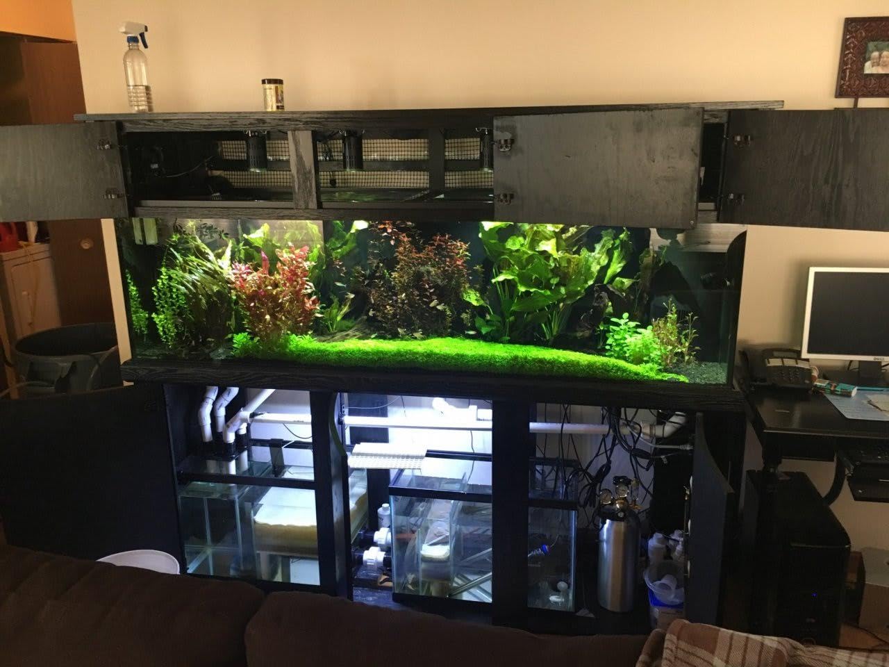 Music Glass CO2 Diffuser for Aquarium Plant (2'' for Tank Beyond 75 gallons) customer photo 2