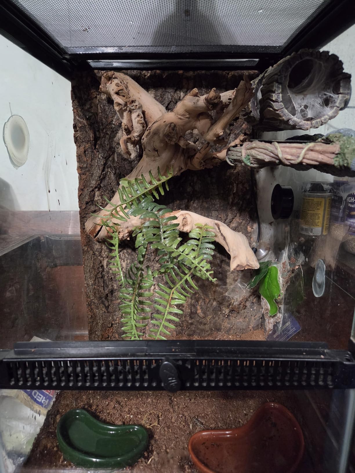 Zilla 11 Gallon Glass Tropical Vertical Terrarium Kit | Front-Opening Door, Hinged Screen Top for Small Arboreal Pets customer photo 1