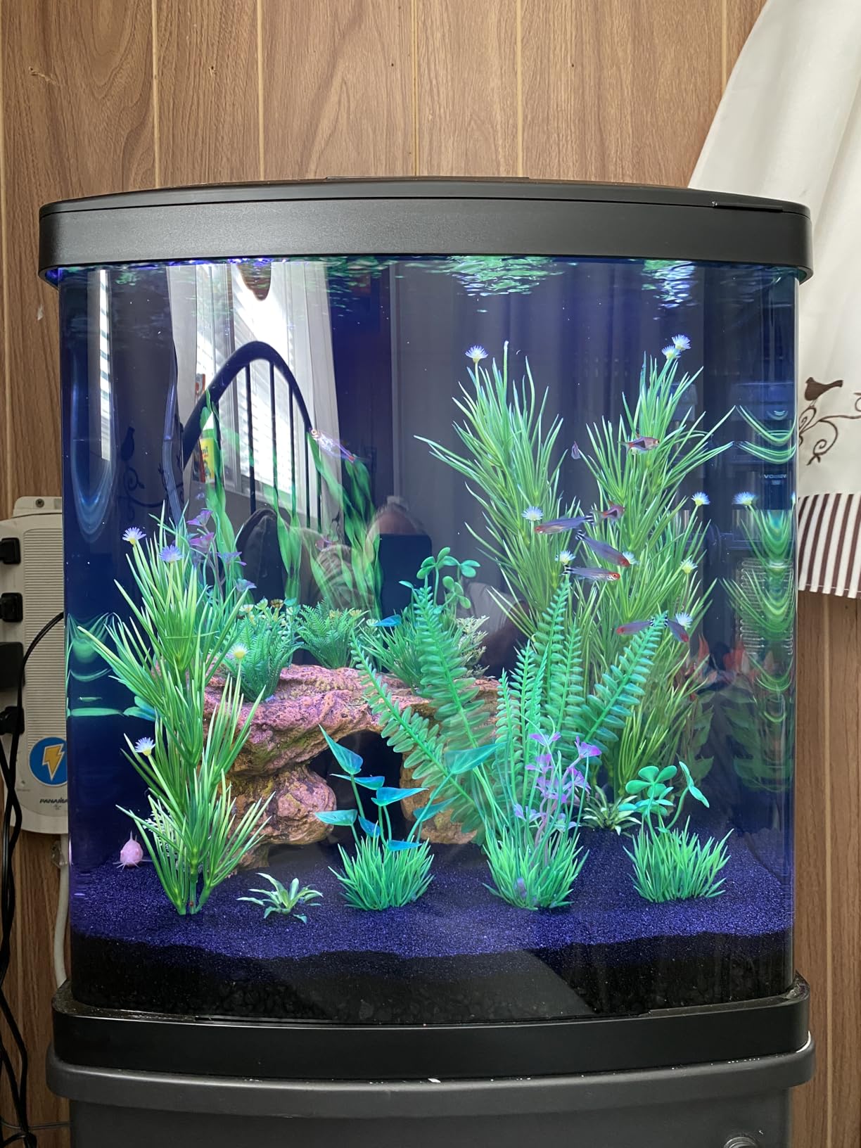 Coralife BioCube, Aquarium Kit, Nano Tank, Customizable LED Lighting, for Saltwater and Freshwater Environments, 16 Gallons customer photo 1