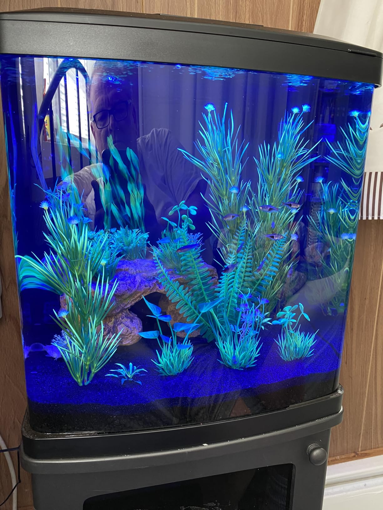 Coralife BioCube, Aquarium Kit, Nano Tank, Customizable LED Lighting, for Saltwater and Freshwater Environments, 16 Gallons customer photo 2