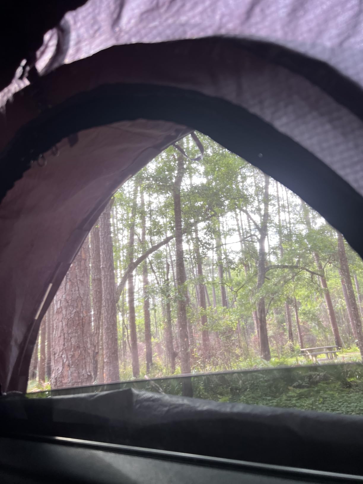 ROADIE - The OVERNIGHTER SUV Window Tent with Bug Screen and Retractable Awning - Great for Camping in an SUV (Patented) customer photo 1