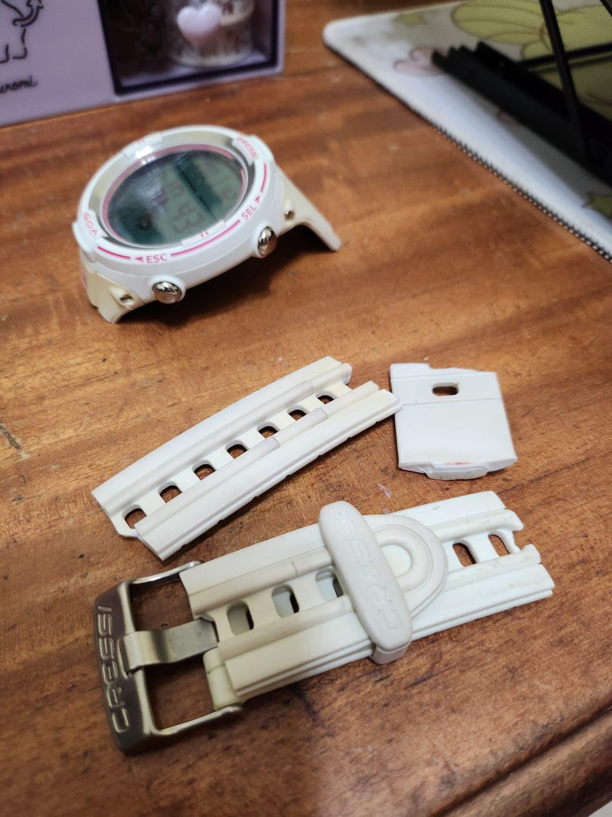 Cressi Goa Dive Watch Computer - 4 Programs - Air/Nitrox, Freediving, Gage - Made in Italy customer photo 1