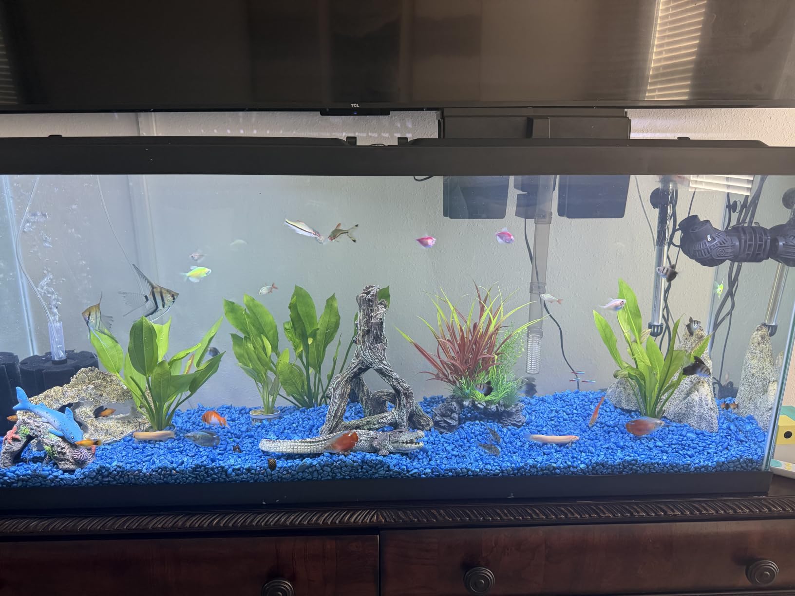 AQUANEAT Aquarium Bio Sponge Filter Breeding Fry Betta Shrimp Nano Fish Tank (Large up to 60Gal) customer photo 1