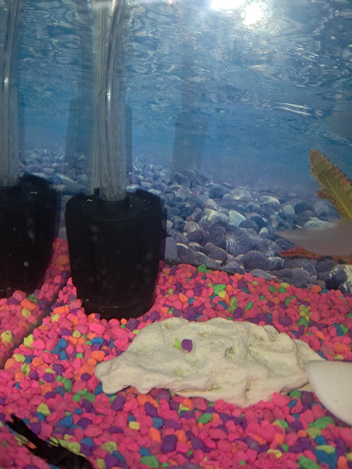 AQUANEAT Aquarium Bio Sponge Filter Breeding Fry Betta Shrimp Nano Fish Tank (Large up to 60Gal) customer photo 2