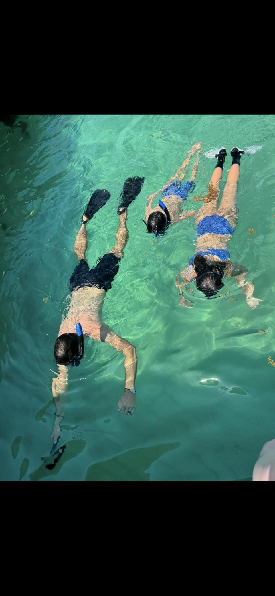 Oceanic Ultra-Dry 2 Snorkel customer photo 1