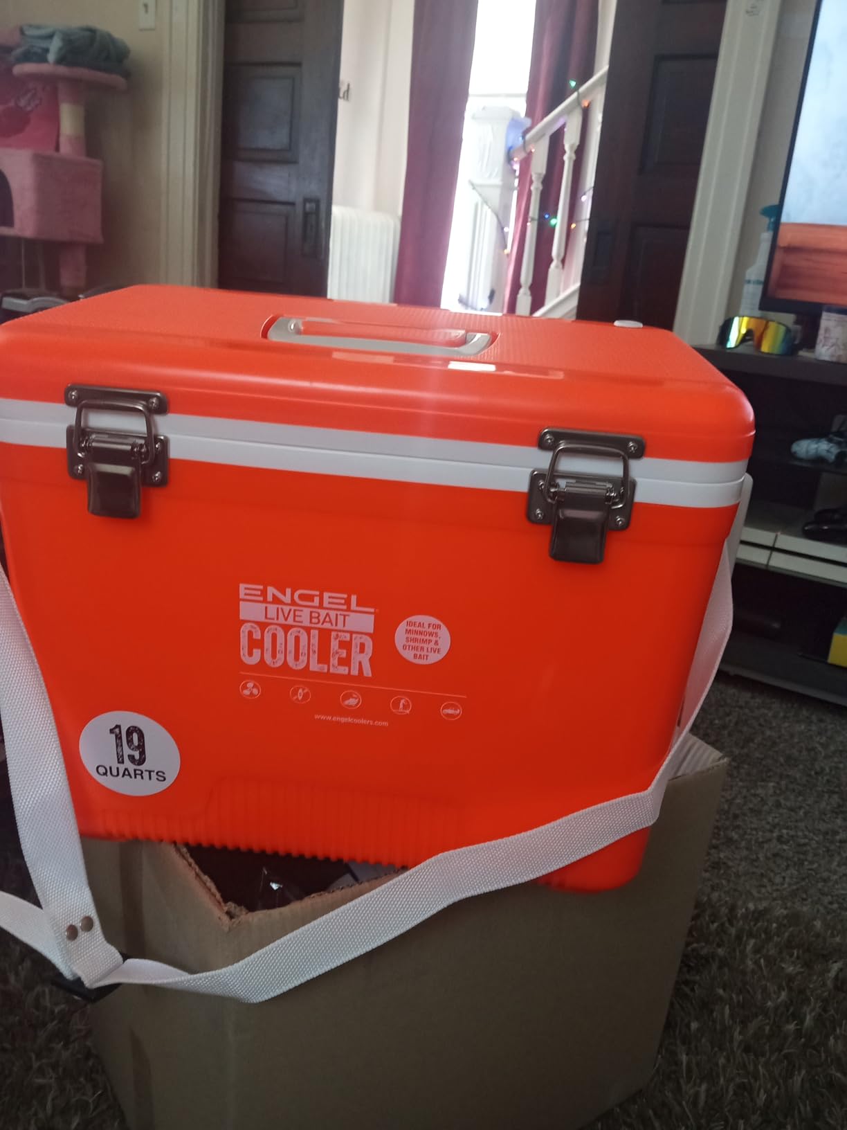 Engel Live Bait Cooler Box with 2nd Gen 2-Speed Aerator Pump - Portable Fishing Station & Minnow Bucket for Shrimp & Other Live Fish with Aerator - ENGLBC-N customer photo 2