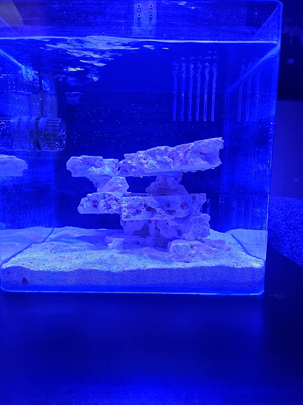 Two Little Fishies STAX by 5 lb customer photo 1