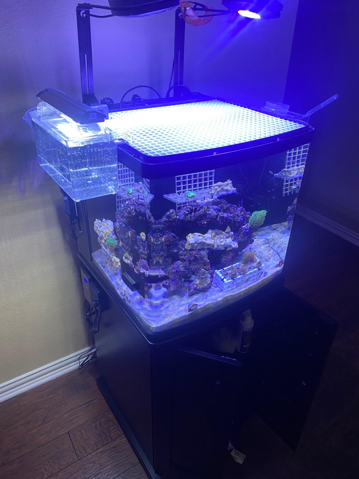 Two Little Fishies STAX by 5 lb customer photo 2
