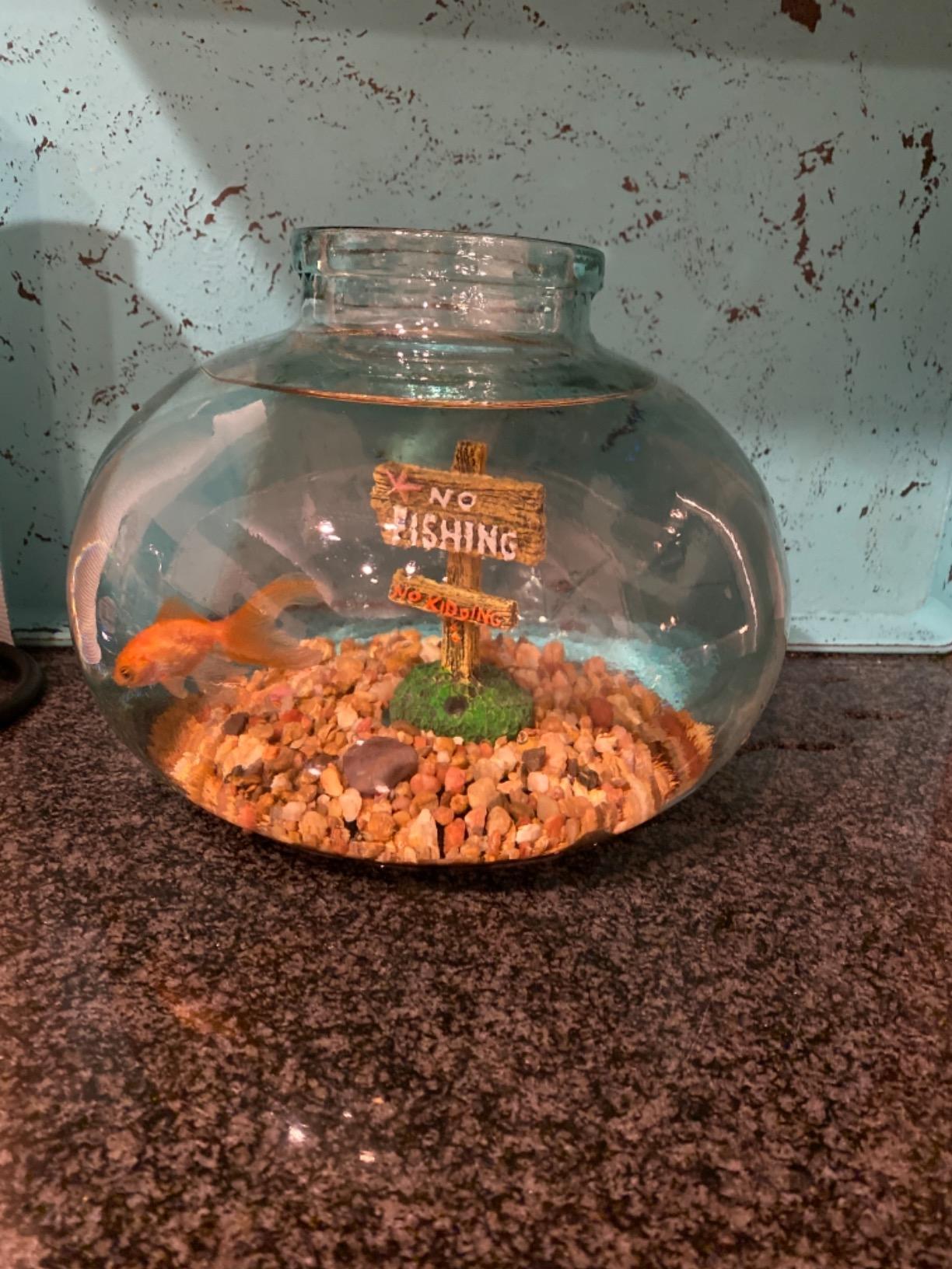 TankFirst Complete Aquarium Water Conditioner - Fish Water Conditioner, Instantly Removes Chlorine, Chloramines, and detoxifies Ammonia from Fish Tank (TankFirst Regular, 500 ml) customer photo 2