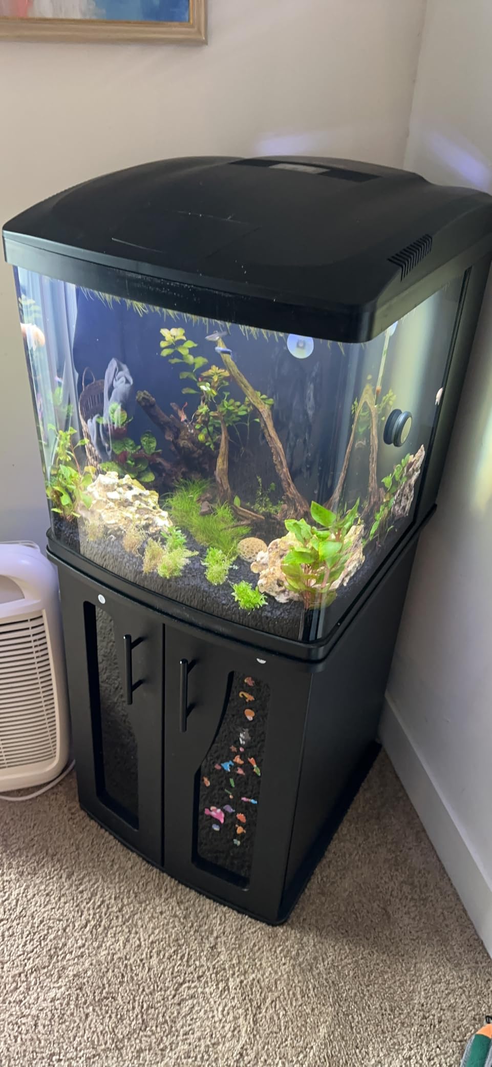 Coralife BioCube Aquarium Fish Tank Wood Stand For 32 Gallon Size customer photo 1