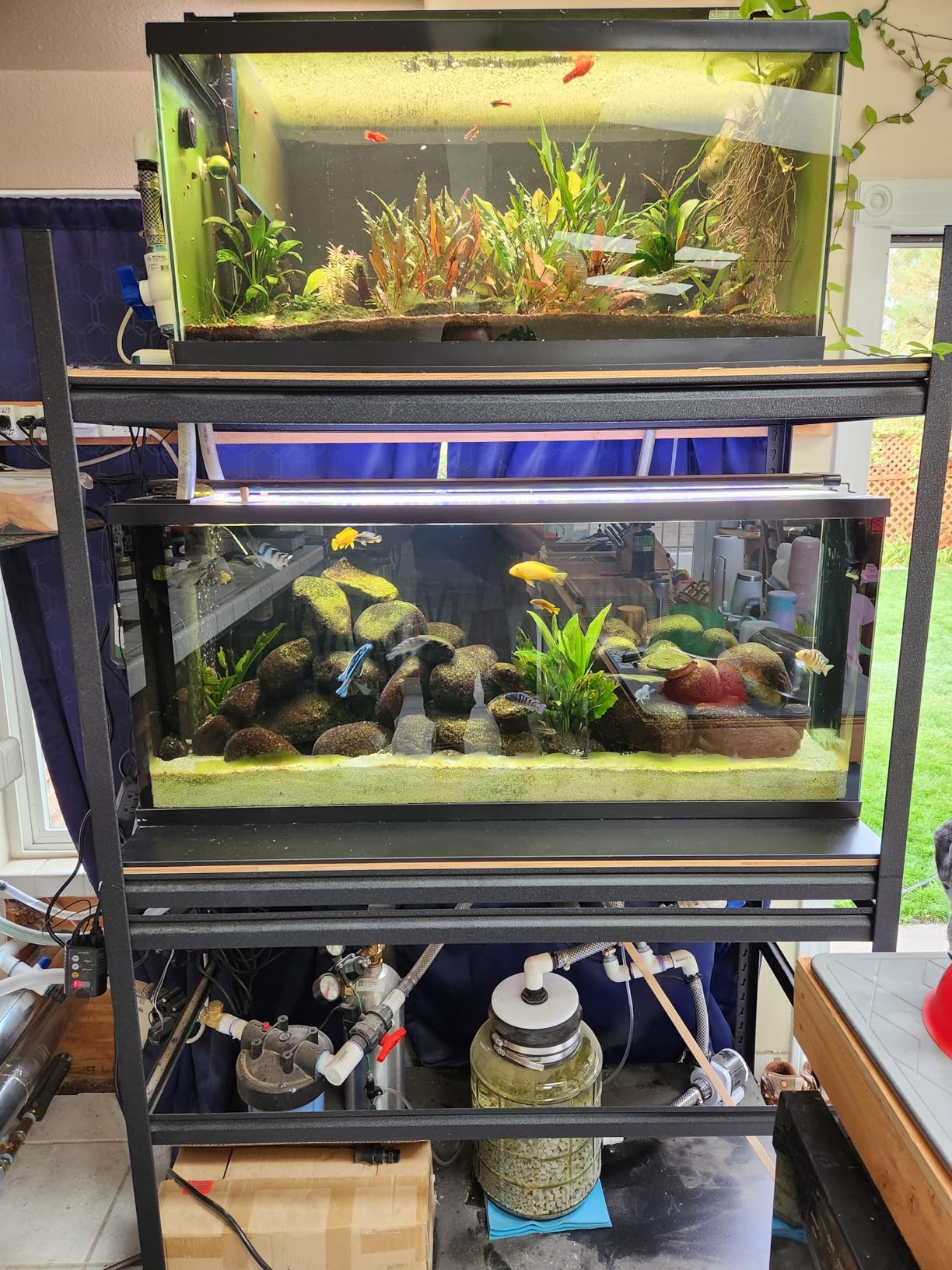 Orlushy DC-5000 Silent Swirl Controllable DC Aquarium Pump 40W 1320GPH Marine Wavemaker Return Pump with Sine Wave Controller for Salt/Freshwater Coral Reef Fish Tank Sump Circulation customer photo 1