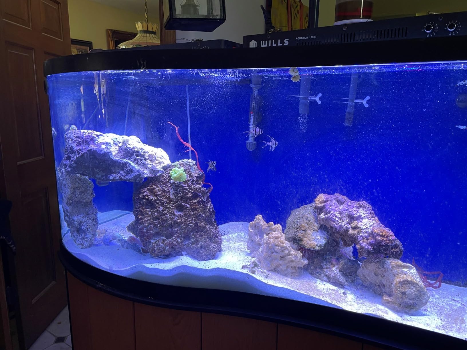 Wills Aquarium Light, 100W Full Spectrum LED Reef Lights, 16
