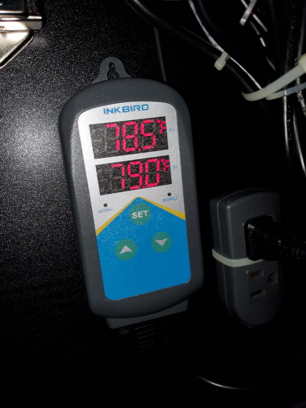 Inkbird Temperature Controller Electronic Heating Thermostat Aquarium Probe | Heater Relay Digital Greenhouse Temperature Controller Dual Stage Timer Time Switch ONLY Heat Plug Outlet NO Cooling customer photo 1