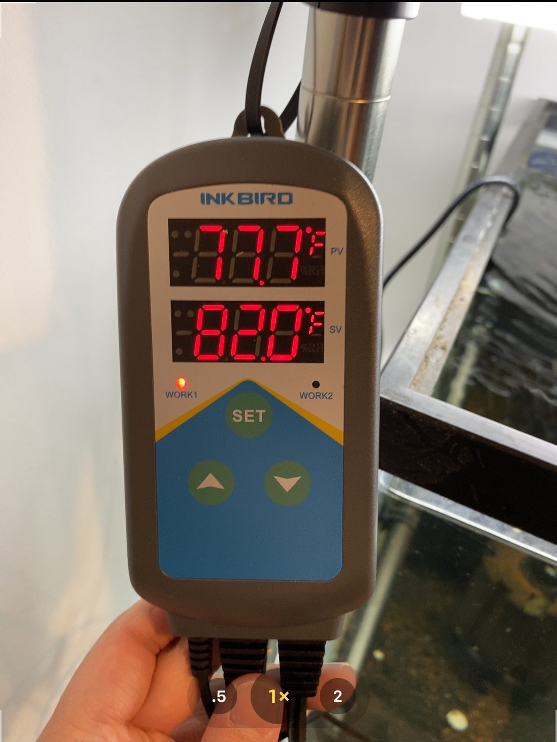 Inkbird Temperature Controller Electronic Heating Thermostat Aquarium Probe | Heater Relay Digital Greenhouse Temperature Controller Dual Stage Timer Time Switch ONLY Heat Plug Outlet NO Cooling customer photo 2