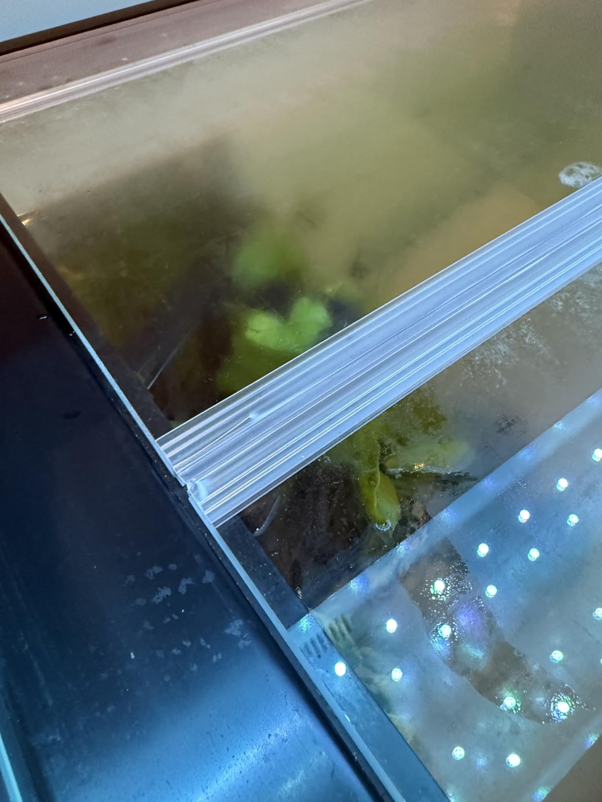 H2Pro 48x18 Glass Canopy 2 Piece Set for 75/90/110 Gallon Aquarium Fish Tank (22.08 x 16.57 x 0.16in) customer photo 2