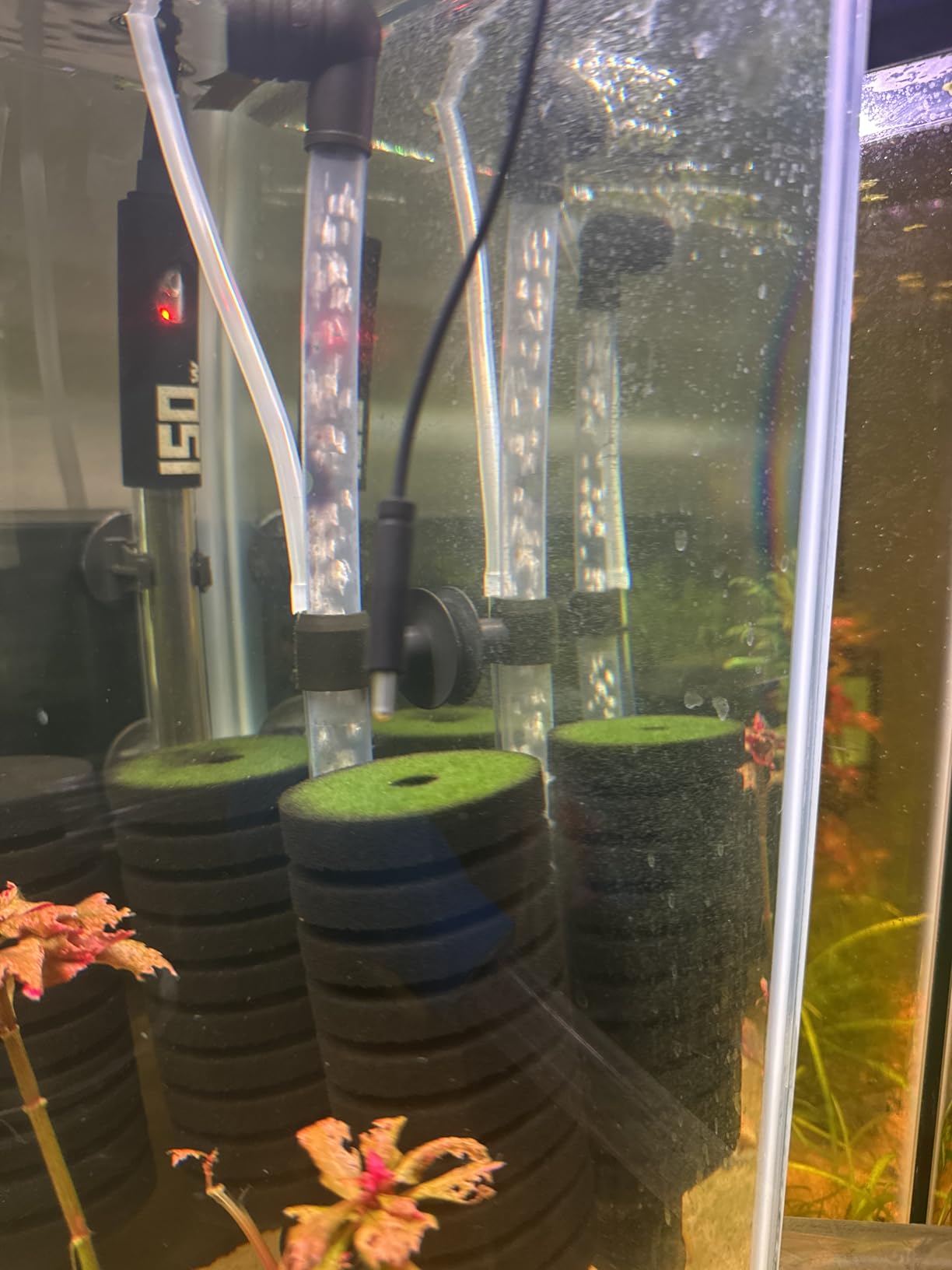 Aquarium Bio Sponge Filter 2 PCS for Fry Betta Shrimp Fish Tank Up to 55 Gallon Each., Quiet, Double Sponges customer photo 1