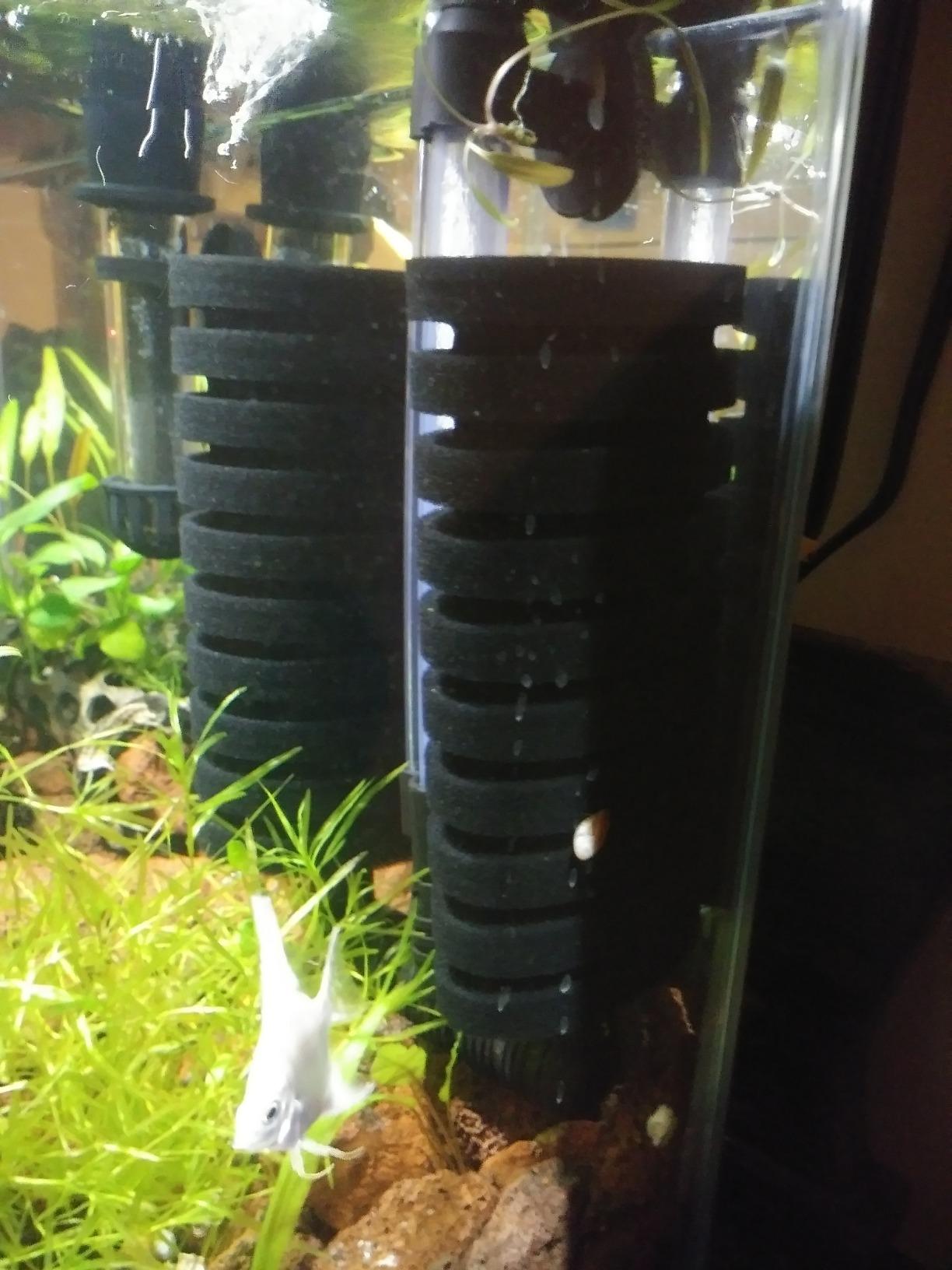Aquarium Bio Sponge Filter 2 PCS for Fry Betta Shrimp Fish Tank Up to 55 Gallon Each., Quiet, Double Sponges customer photo 2
