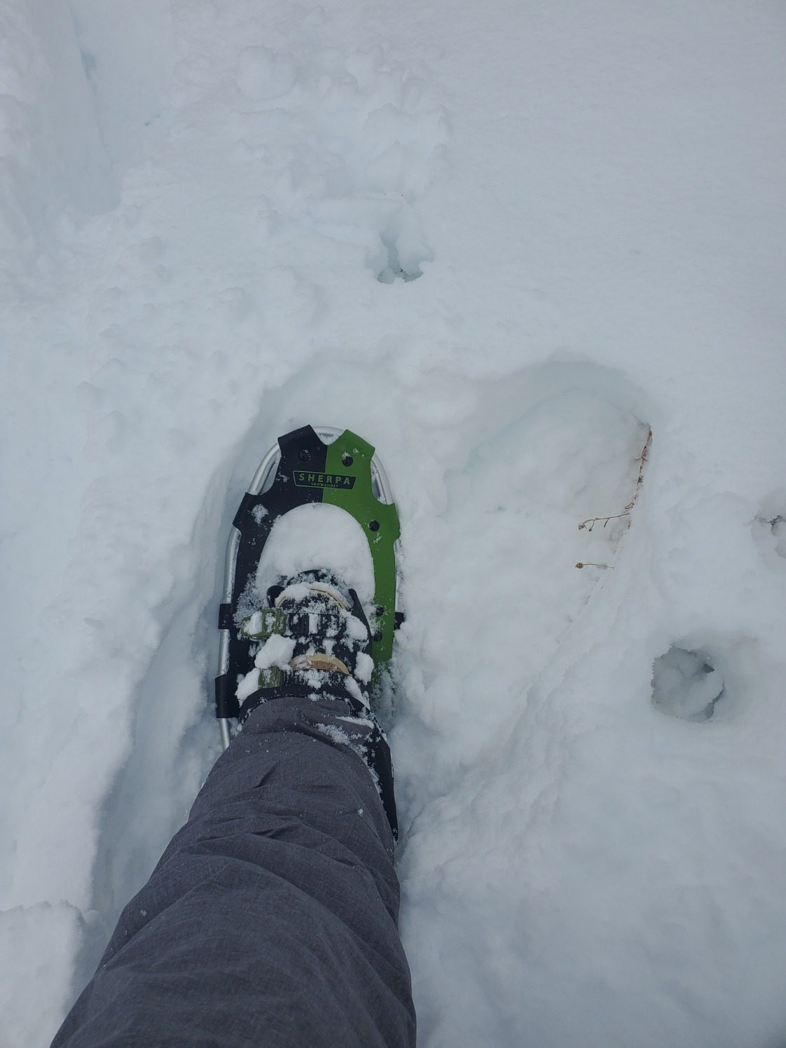 Yukon Charlie's Sherpa Snowshoe, Snowshoes for Men & Women, Snowshoeing Kits for All Skill Levels, Multiple Sizes & Models customer photo 1