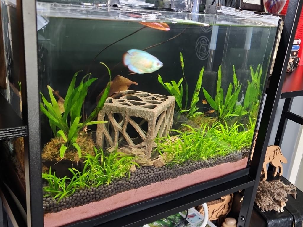 Aqueon Plant and Shrimp Aquarium Substrate, Aqua Soil for Fish Tanks, 5 Pounds | Aqua Soil for Fish Tanks, Aquarium Substrate for Live Plants customer photo 1