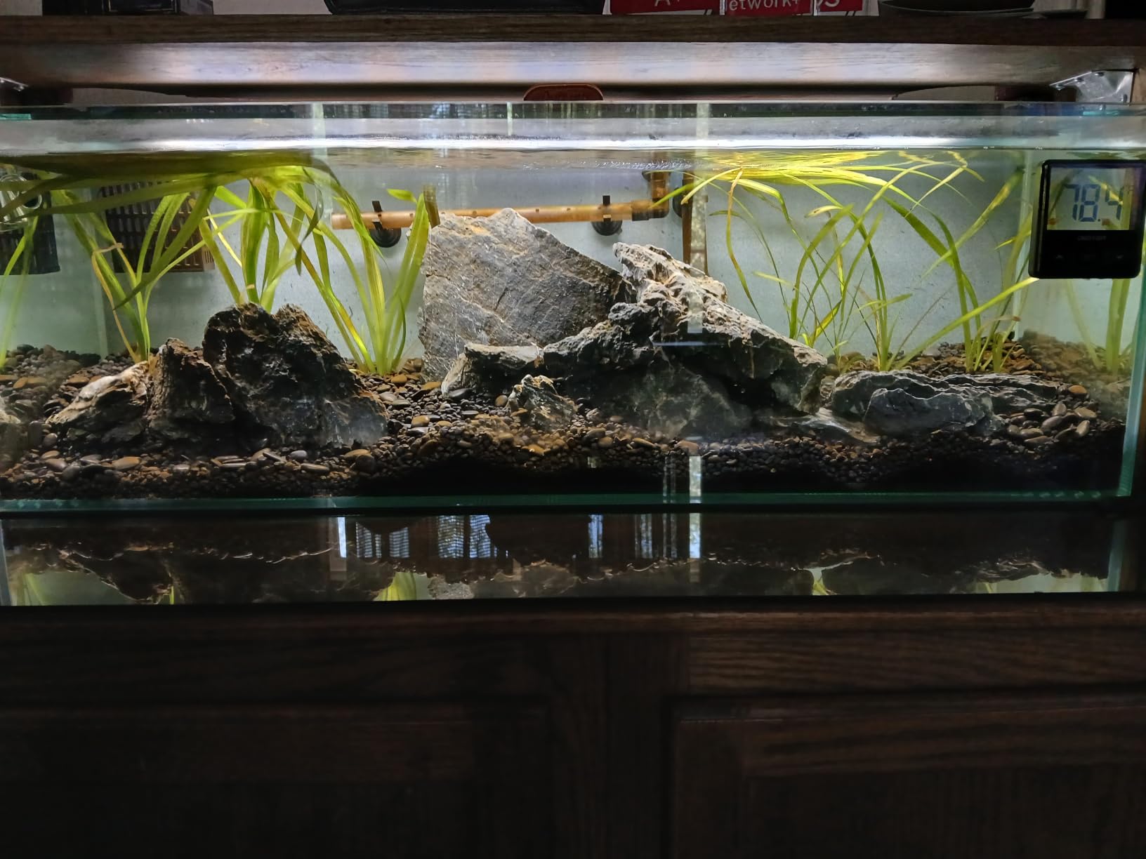 Aqueon Plant and Shrimp Aquarium Substrate, Aqua Soil for Fish Tanks, 5 Pounds | Aqua Soil for Fish Tanks, Aquarium Substrate for Live Plants customer photo 2