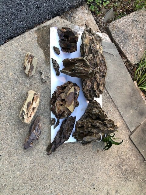 Lifegard Aquatics Aquascaping Dragon Ohko Rock 10 Lb Kit - Decorative Aquarium Rocks, Fish Tanks - 10 Lbs Kits customer photo 1