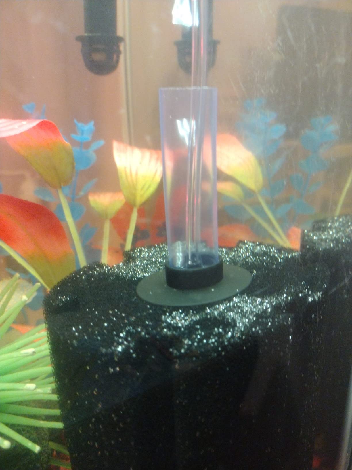 Bio Sponge Filter for Betta Fry Aquarium Fish Tank Up to 60 Gallon Each, 3-Pack (L) customer photo 2