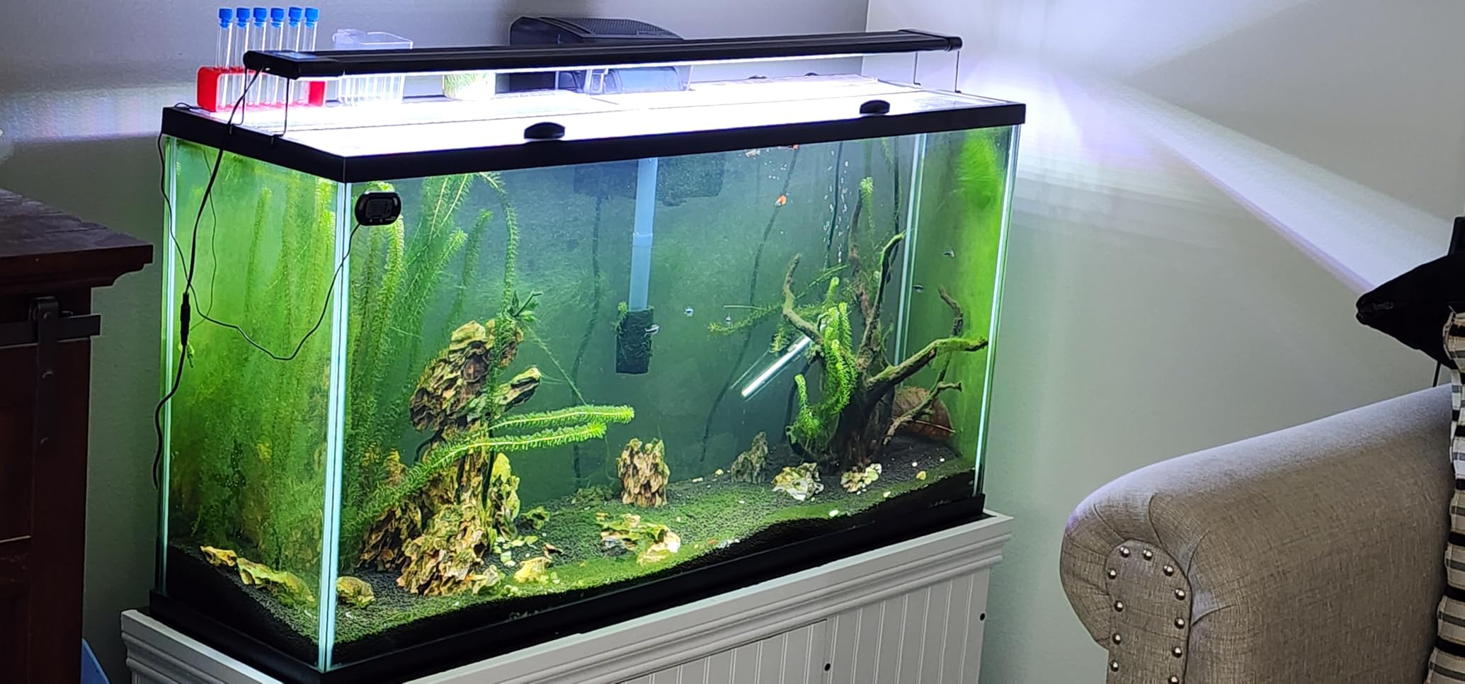 hygger Aquarium Strong Magnetic Cleaner Algae Magnet Cleaning Tool with Scraper Floating Brush for Fish Glass Tank S customer photo 1
