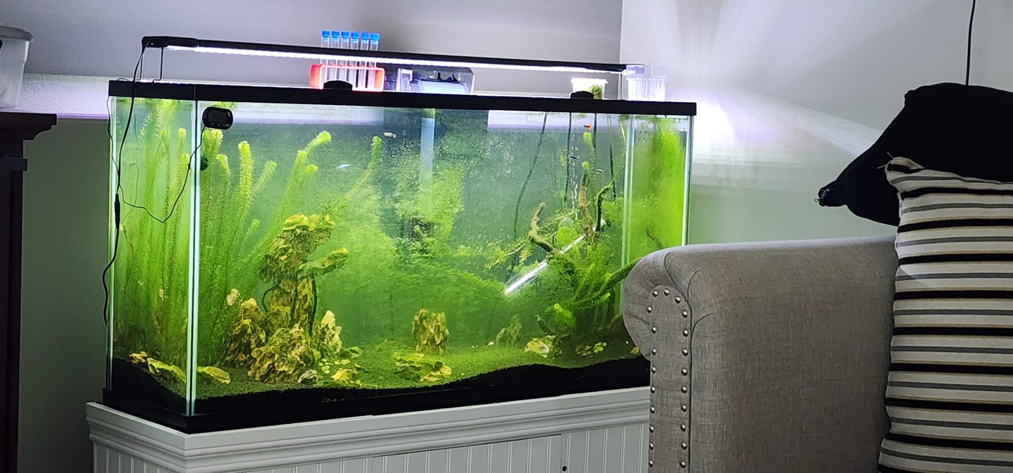 hygger Aquarium Strong Magnetic Cleaner Algae Magnet Cleaning Tool with Scraper Floating Brush for Fish Glass Tank S customer photo 2