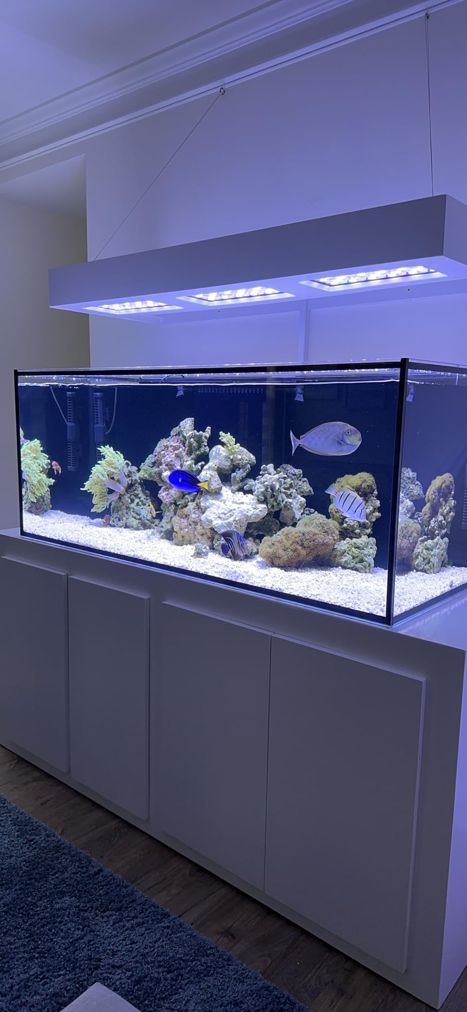 Empire USA - 150 Gallon Starfire Glass Aquarium 60x24x24 Inch, 12mm Eurobraced Fish Tank with Built-in Overflow Box, Rimless Low Iron Glass Aquarium for Freshwater & Saltwater Aquascaping customer photo 2