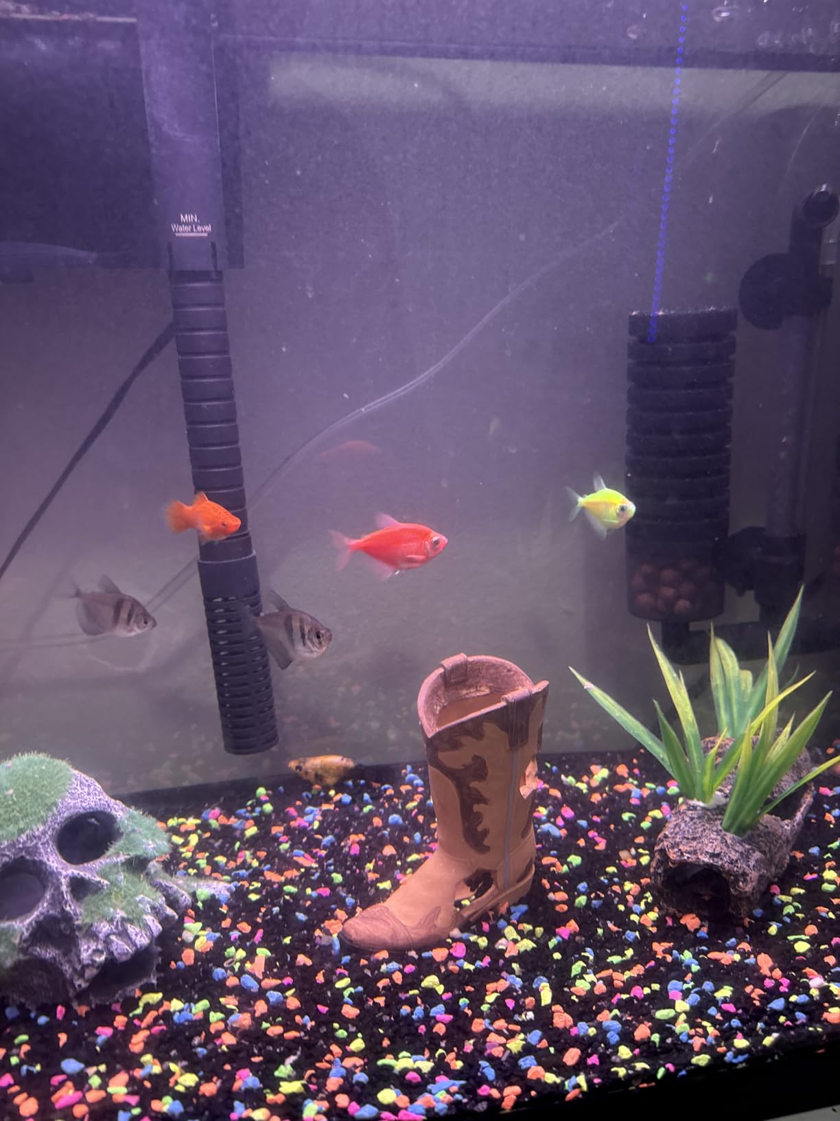 Hygger Aquarium Double Sponge Filter, Comes with 2 Spare Sponges, 1 Bag of Bio Ceramic Media Balls, Quiet Submersible Foam Filter for Fresh Water and Salt-Water Fish Tank (S) customer photo 2