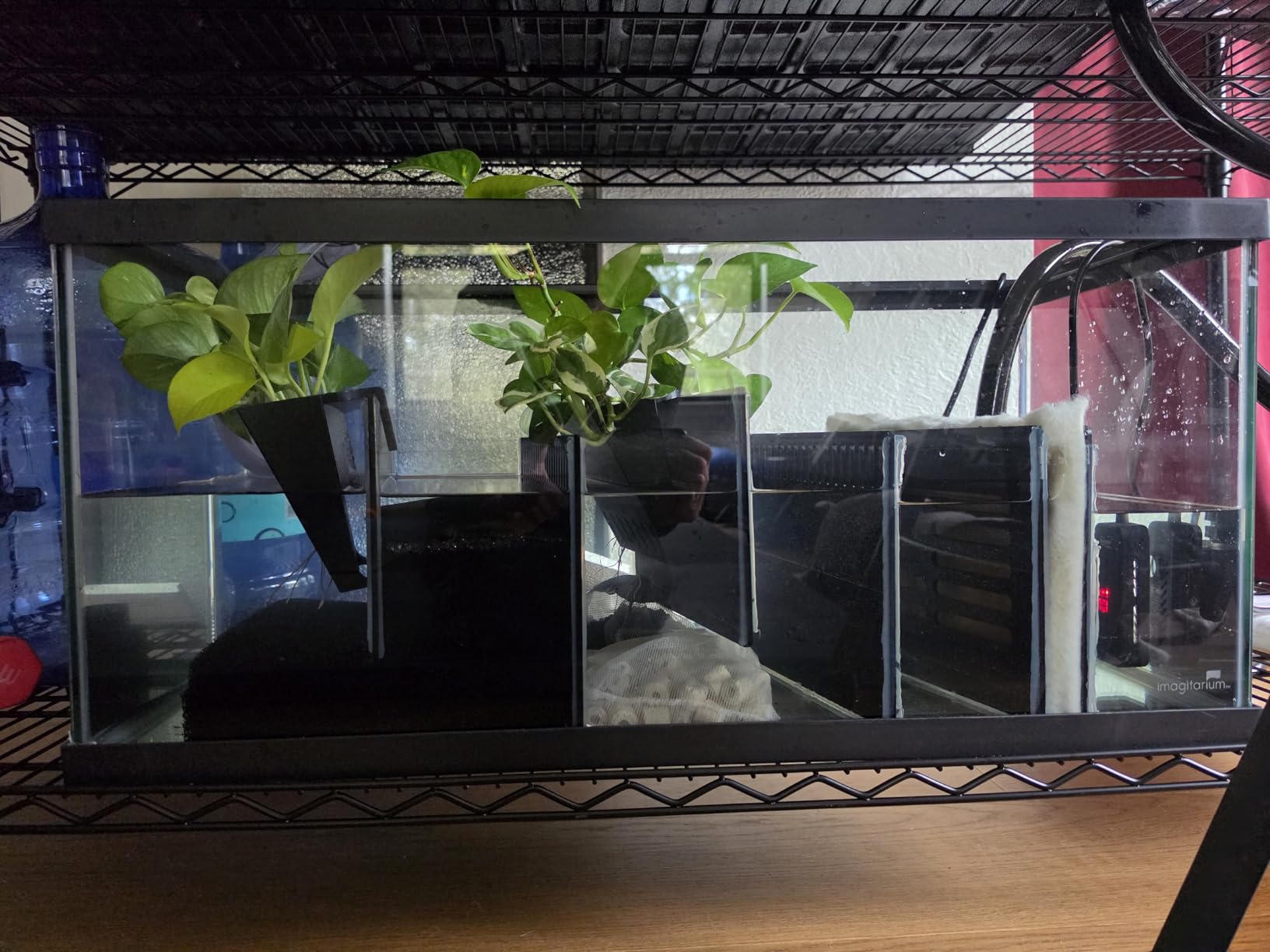 Bubblefin Aquarium Sump Refugium DIY Kit for Protein Skimmer Sump - Chamber dividers (10 Gallon) customer photo 1