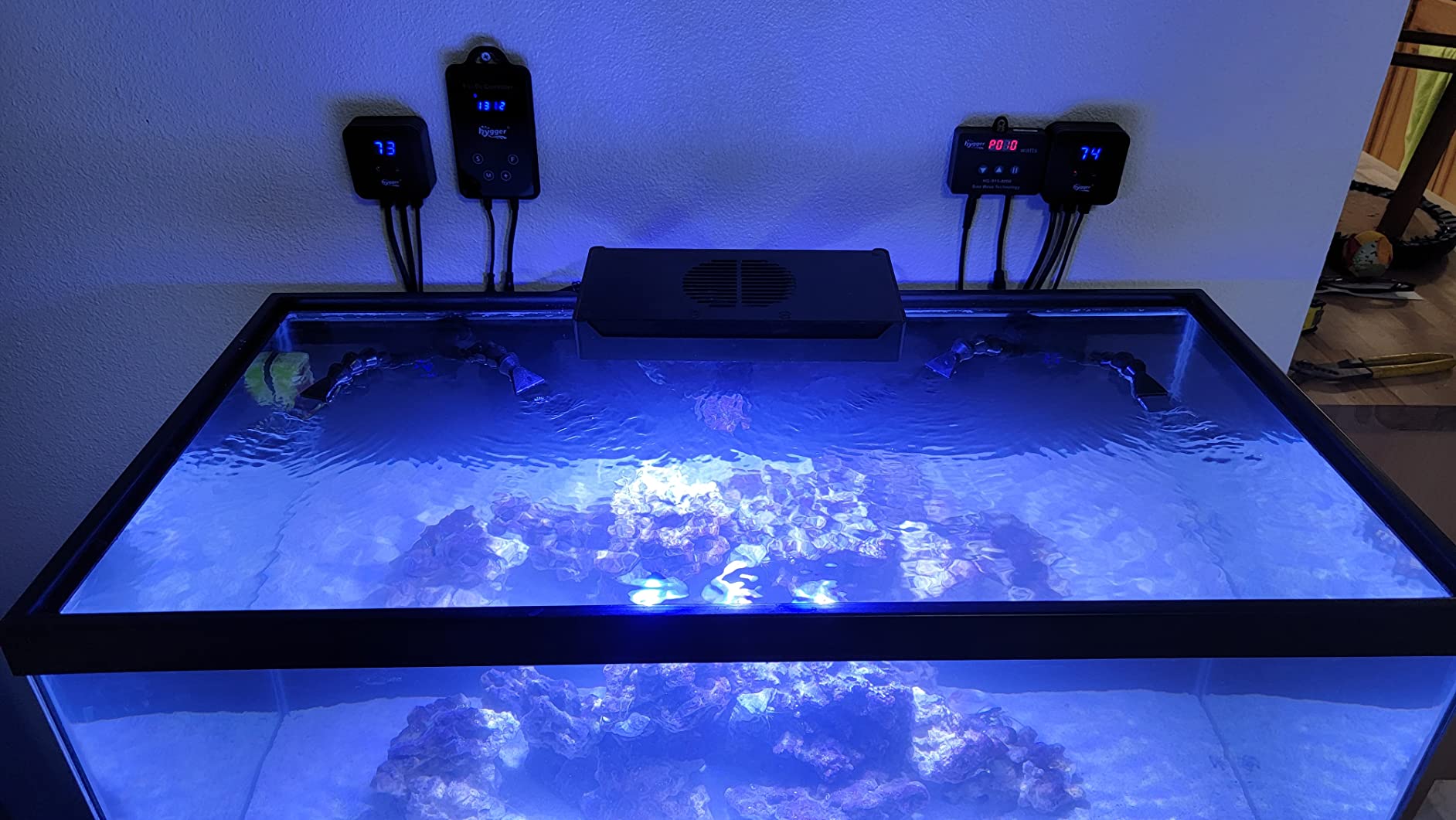 hygger 1060GPH Quiet Submersible and External 24V Water Pump, with Controller (30%-100% Settings), Powerful Return Pump for Fish Tanks, Aquariums, Ponds, Fountains, Sump, Hydroponics (33W, 13.1ft) customer photo 2