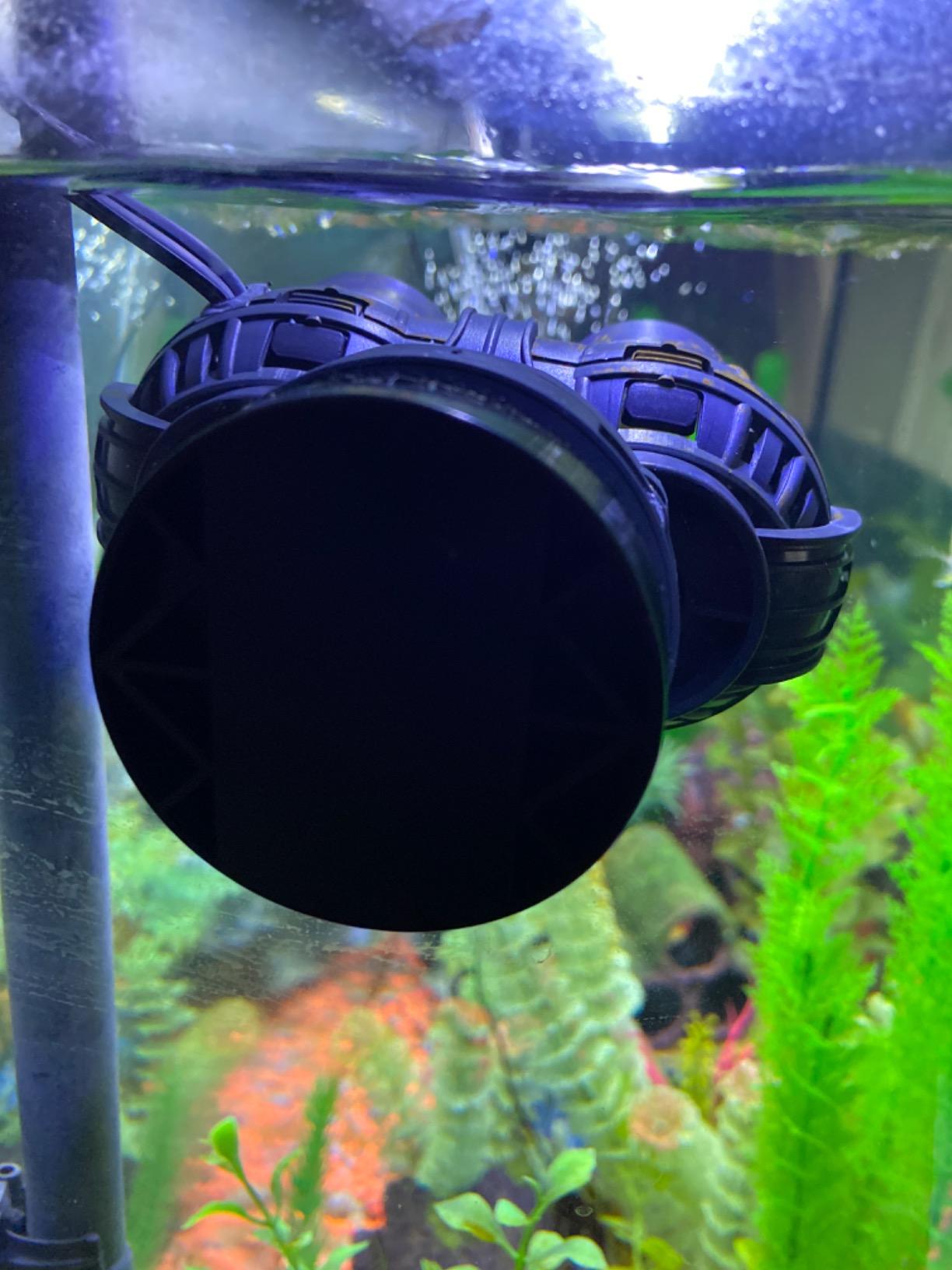 FREESEA Magnetic Wave Maker for Aquarium: 1s Snap on 15mm Glass & Dry-Hand Relocation - Dual 180°Adjustable Heads Eliminate Dead Spots Improve Water Quality for 55-125 Gallon Fish Tank customer photo 1