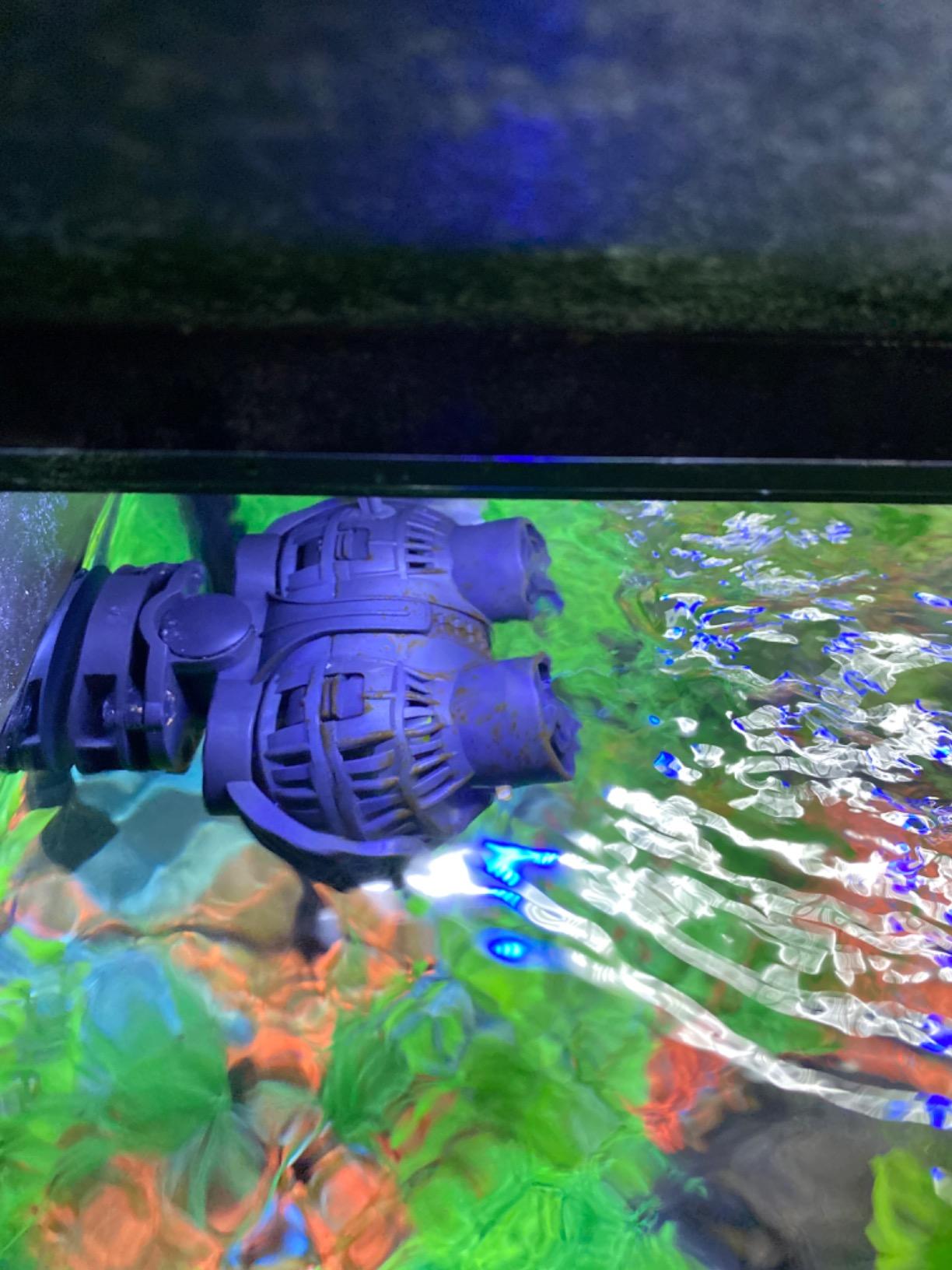 FREESEA Magnetic Wave Maker for Aquarium: 1s Snap on 15mm Glass & Dry-Hand Relocation - Dual 180°Adjustable Heads Eliminate Dead Spots Improve Water Quality for 55-125 Gallon Fish Tank customer photo 2