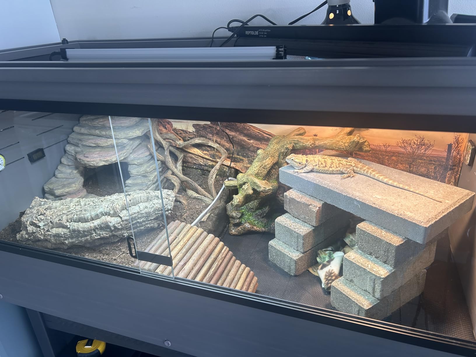 The Bio Dude Terra Sahara Bioactive Reptile Substrate 36 quarts for terrariums and vivariums. Bioactive Substrate for Bearded Dragons, Uromastyx, Leopard Geckos and More! customer photo 1