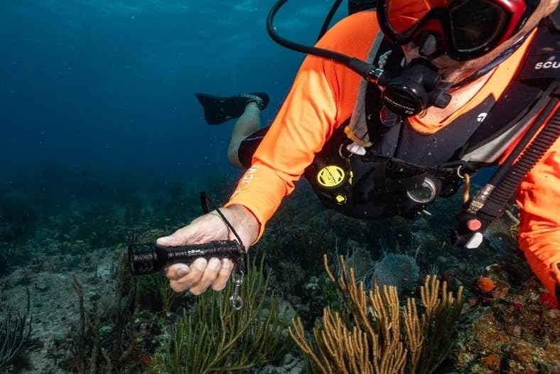 ORCATORCH D550 Hands-Free Dive Light with Wrist Strap & Bolt Snap | 1000 Lumens, 3 Modes High Med Strobe, Tail Switch, IP68 Waterproof, Hands-Free Backup Dive Light, for Night Diving customer photo 2