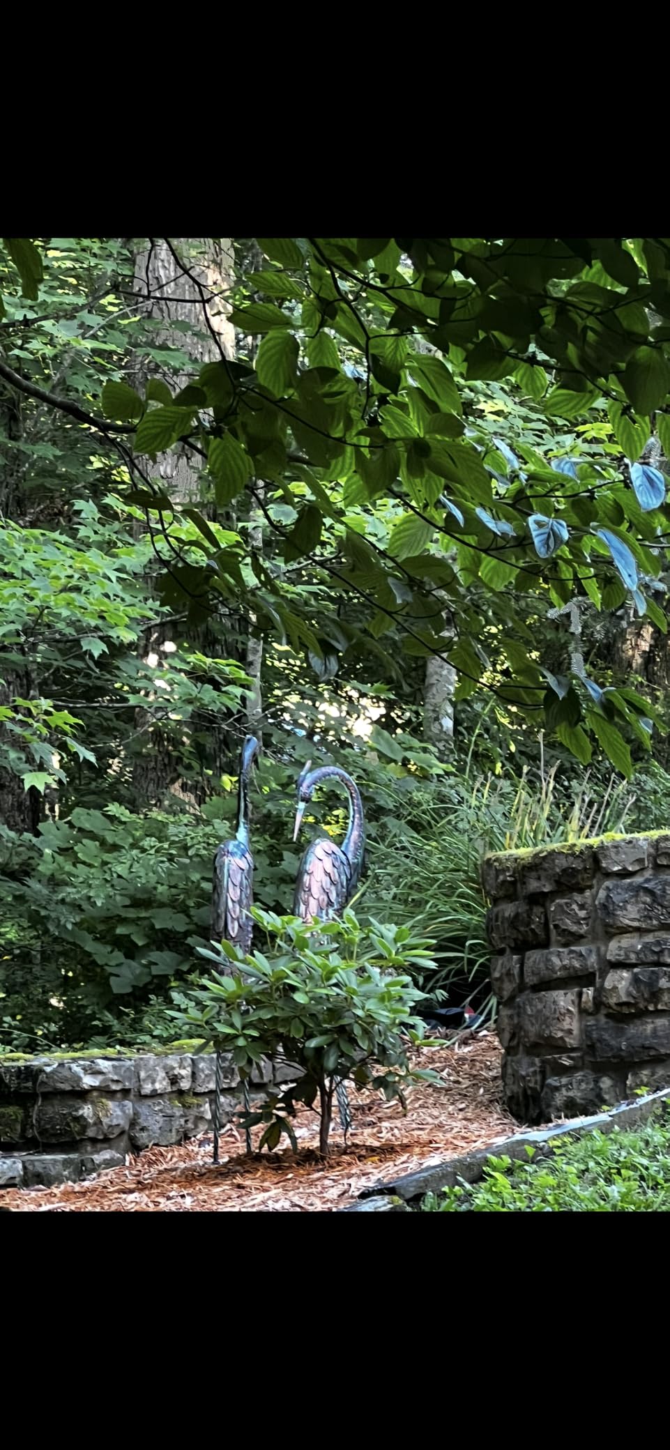 Kircust Garden Crane Statues Metal Heron Outdoor Statue, 46 Inch | Standing Patina Decoy, Weather-Resistant and Rustless, Bird Yard Art for Patio Lawn Pond customer photo 1