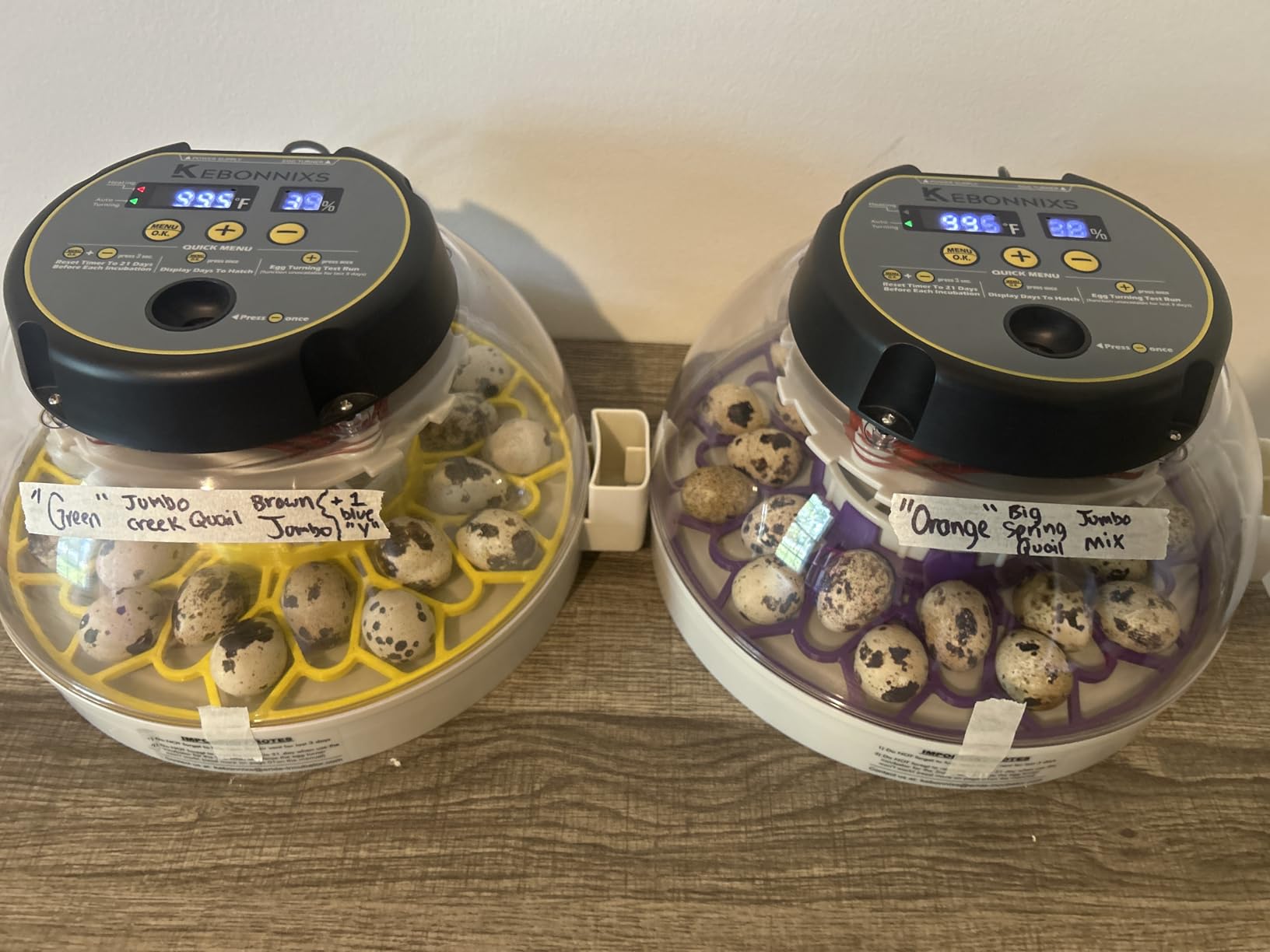 KEBONNIXS 12 Egg Incubator with Humidity Display, Egg Candler, Automatic Egg Turner customer photo 1