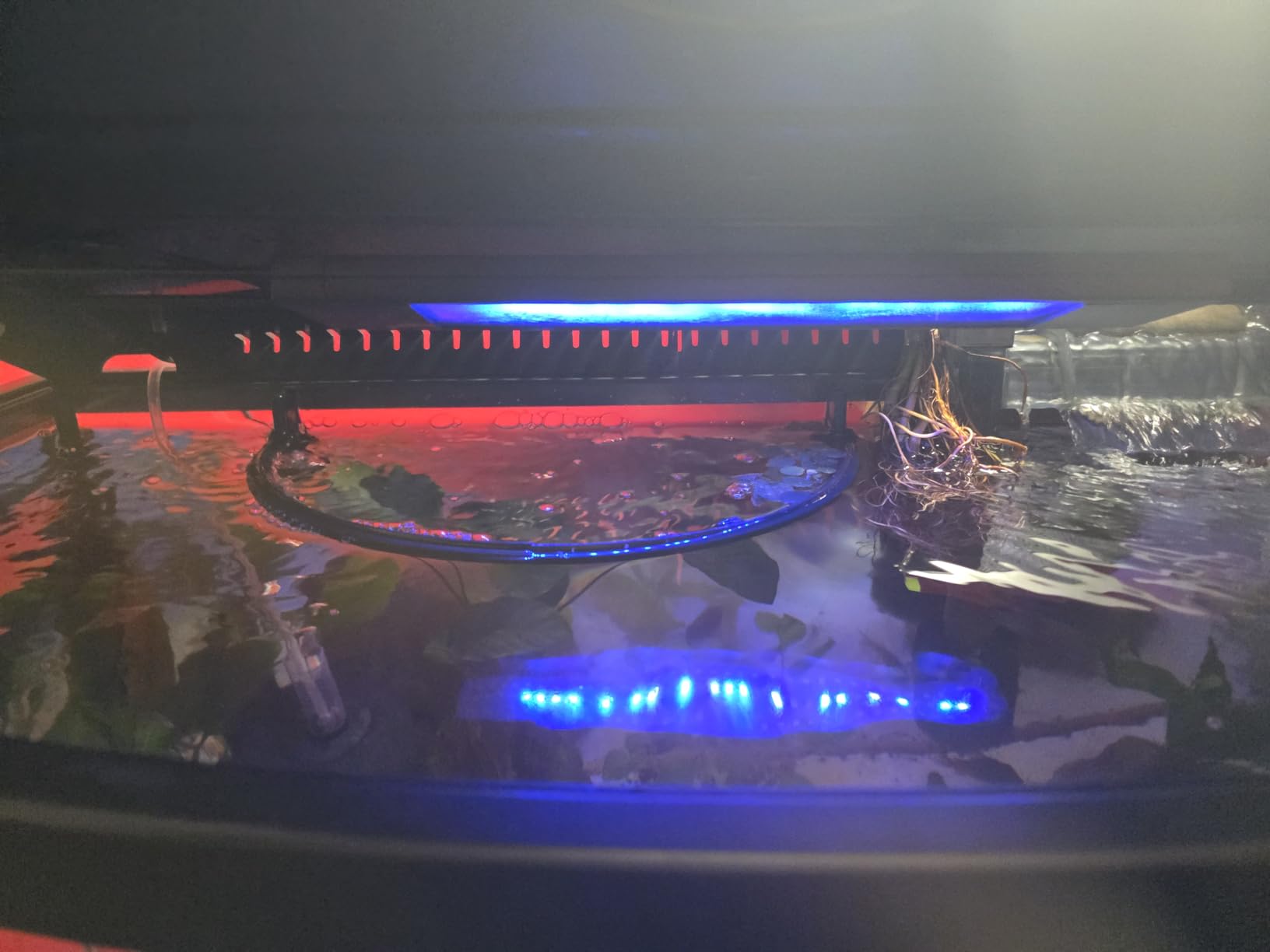 Fluval Plant 3.0 LED Planted Aquarium Lighting, 22 Watts, 15-24 Inches customer photo 2