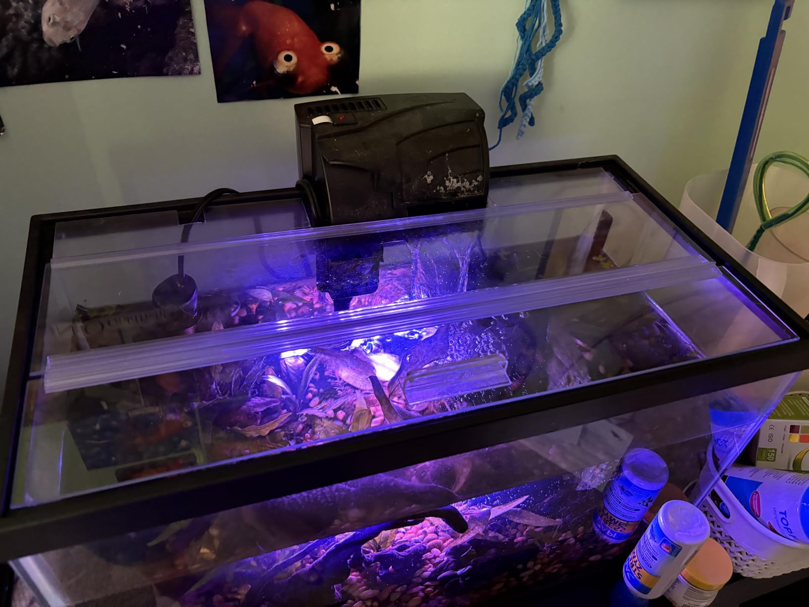 Aquarium Glass Canopies for Aquariums with & Without Center Braces, 5 to 360 Gallon Aquariums. Carefully Choose Size and Match Exact Canopy Measurements (Tank Without Center Brace, 16