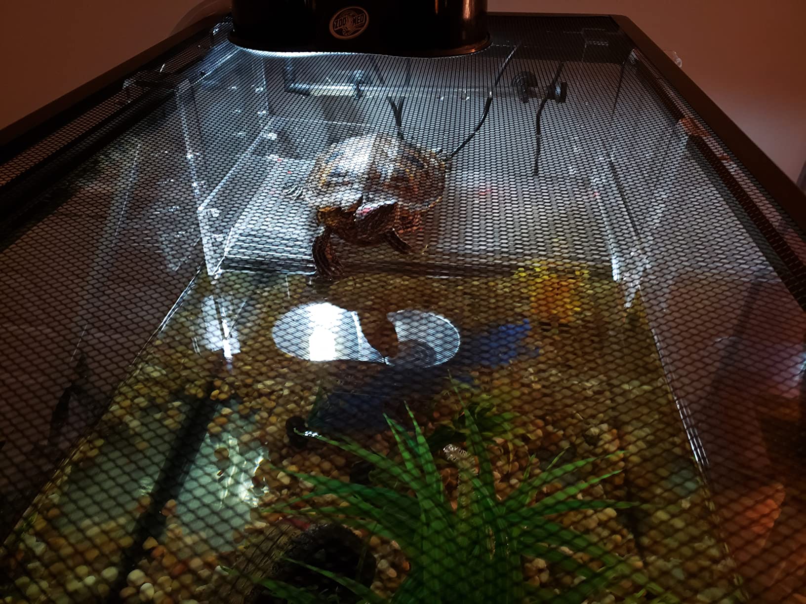 LaBrinx Designs Extra Large Wide Hanging Turtle Ramp - Aquatic Reptile Basking Platform customer photo 2