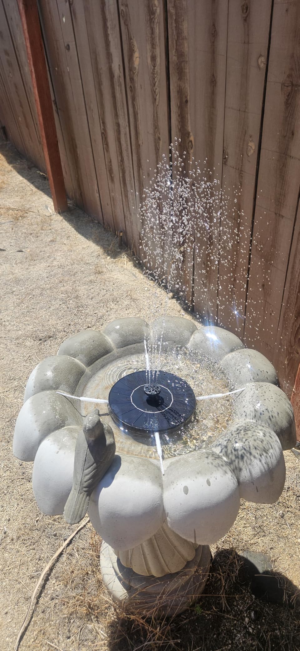 Mademax 1W Solar Bird Bath Fountain Pump, Solar Fountain, Free Standing Floating Solar Powered Water Fountain Pump for Bird Bath, Garden, Pond, Pool, Outdoor customer photo 1